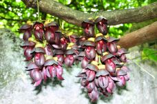 怪石林-乐平-doris圈圈