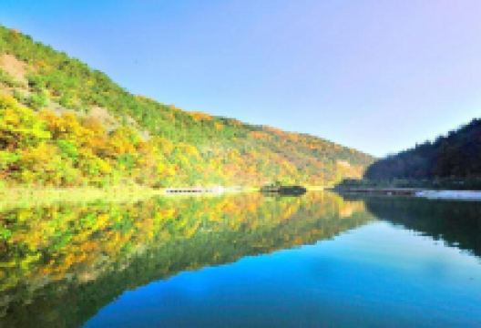 陕西黄陵国家森林公园景点图片