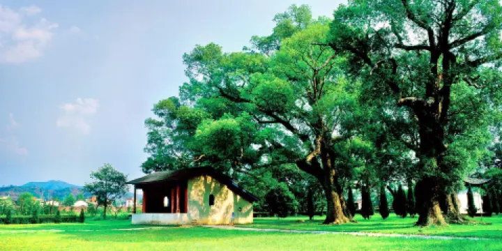 共和國搖籃旅遊區-葉坪景區