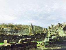 Rievaulx Abbey-里沃