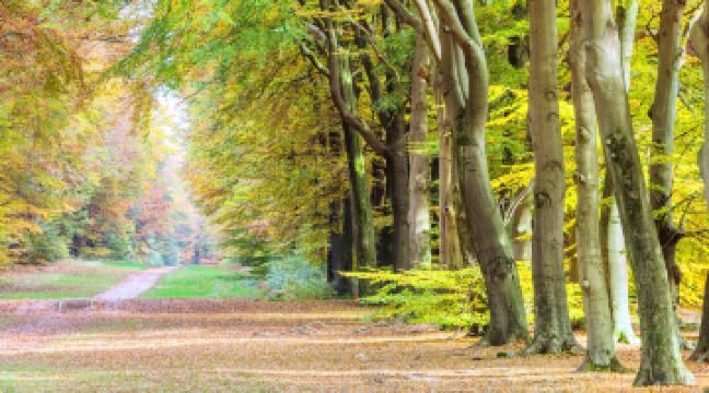 高費呂韋國家公園