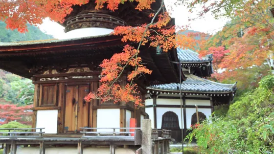 善峯寺