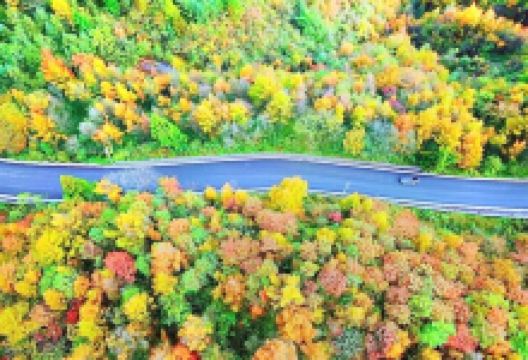 长岭岗生态园景点图片