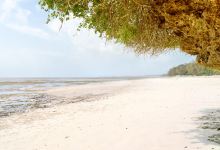 Bamburi Beach景点图片