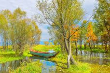 马久邑村-大理市-doris圈圈