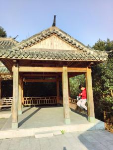 凤凰山景区-乐清-喝茶五千年