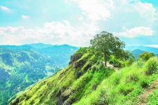 小亚当峰-埃勒-尊敬的会员