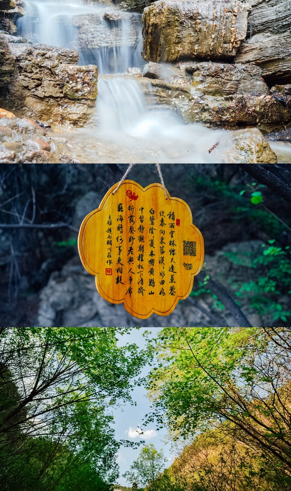 太山