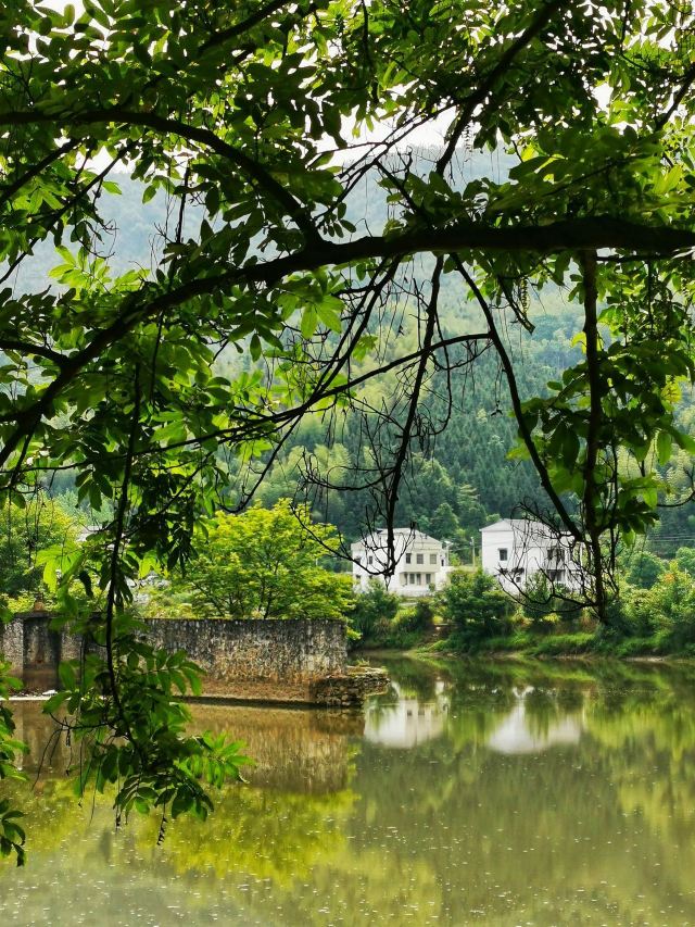 西河沙滩公园旅行图片 7