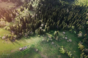 新源游记图文-新疆那拉提最惊喜遇见，不是空中草原的无边花海，而是这里