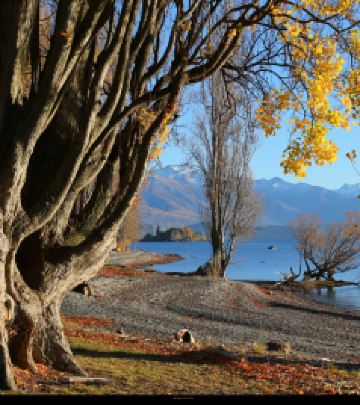 Queenstown Hill游记图文-五月，地球上最浪漫的地方~皇后镇。