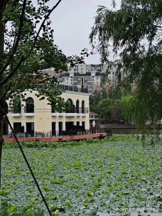 思贤公园-上海-噼里啪啦
