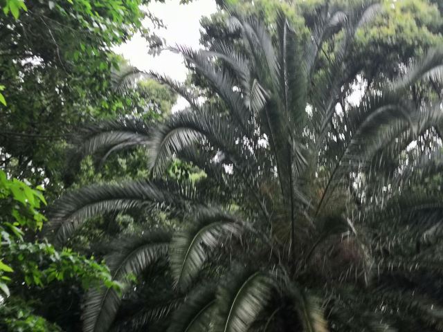 芦花荡公园-园门旅行图片 3