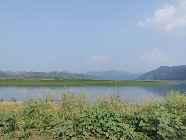 振江镇绿江村景点旅行图片 1