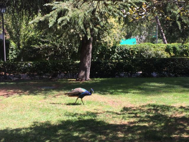 Retiro