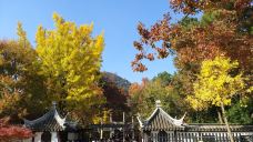 林州天平山风景区-林州-貓貓達