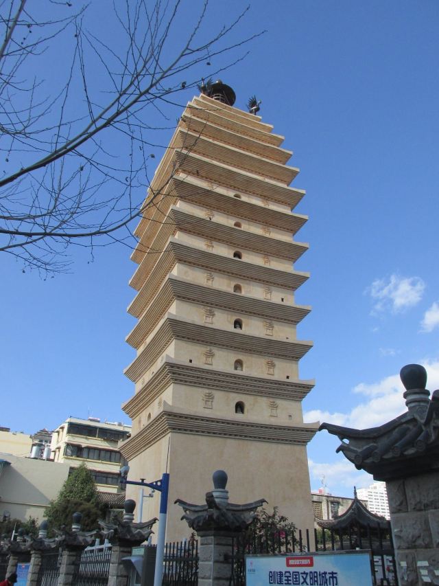 东寺塔茶花园旅行图片 3