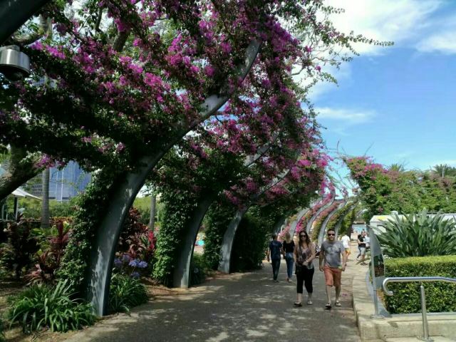 South Bank Parklands