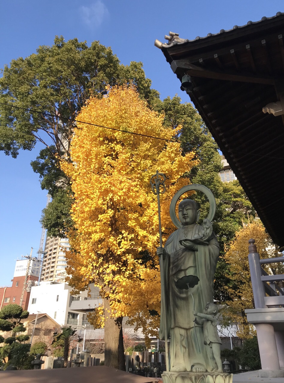 寻找川崎的秋季尾巴🍁🍂