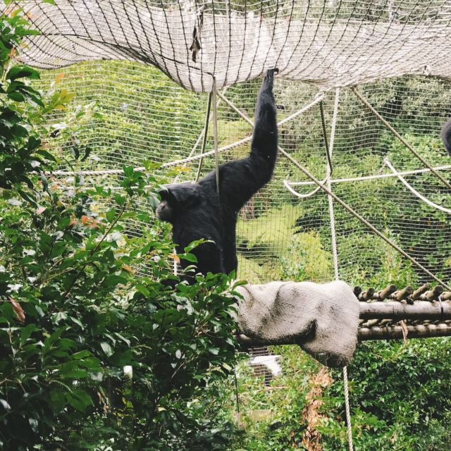 Auckland Zoo
