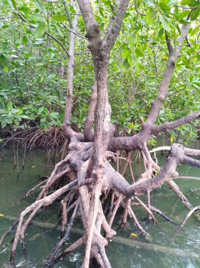 Ao Phang Nga National Park