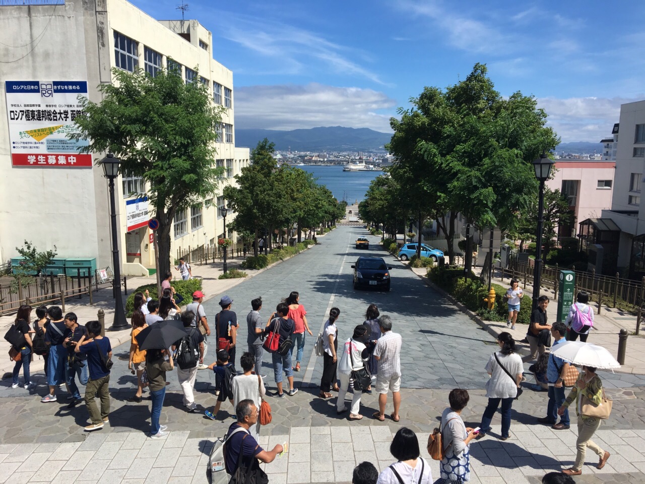 すべての花の画像 新鮮なスイス 花嫁学校