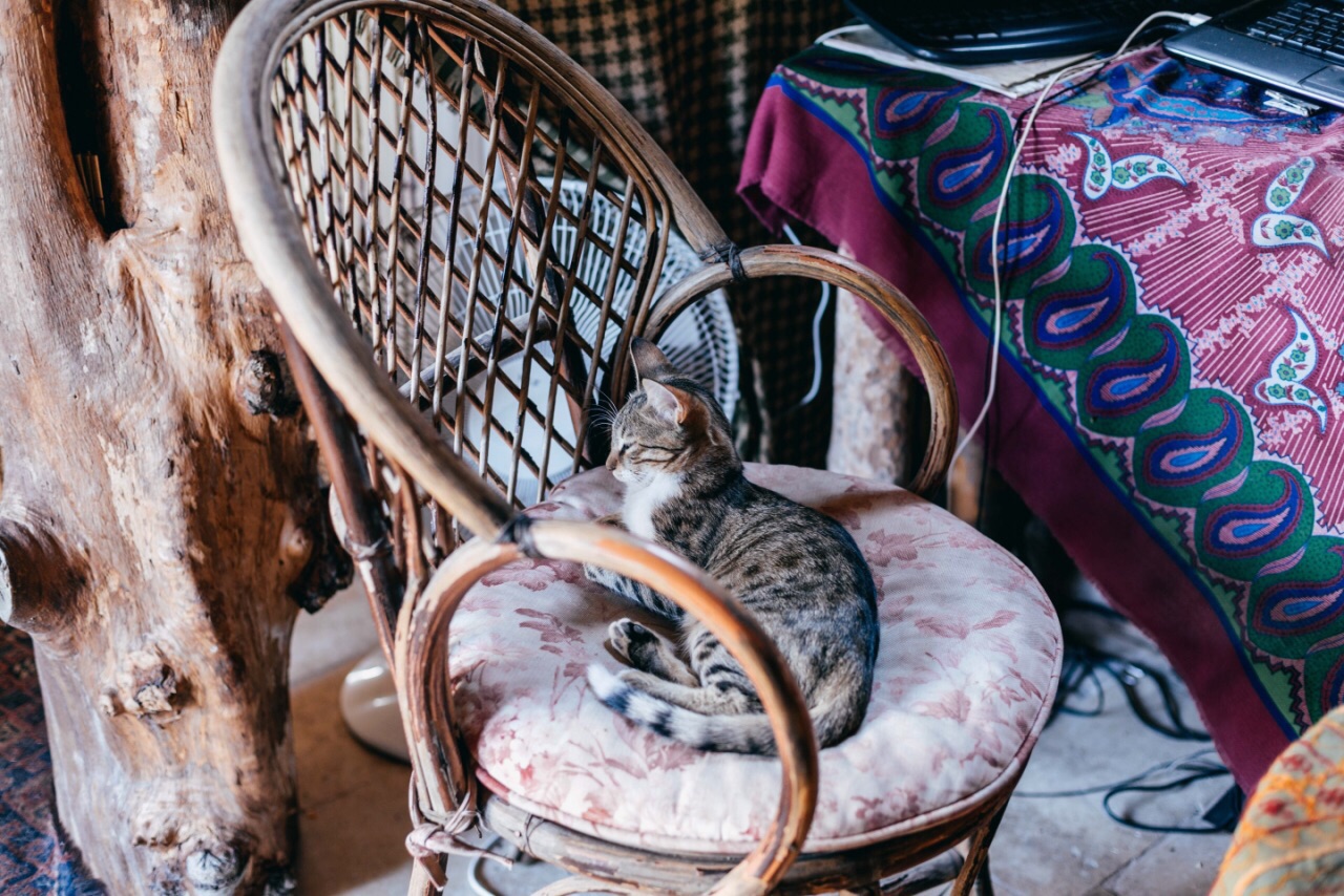 Omurca Art Cave Cafe餐厅图片