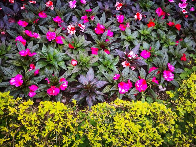 Taiwan University