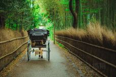 岚山-京都-doris圈圈