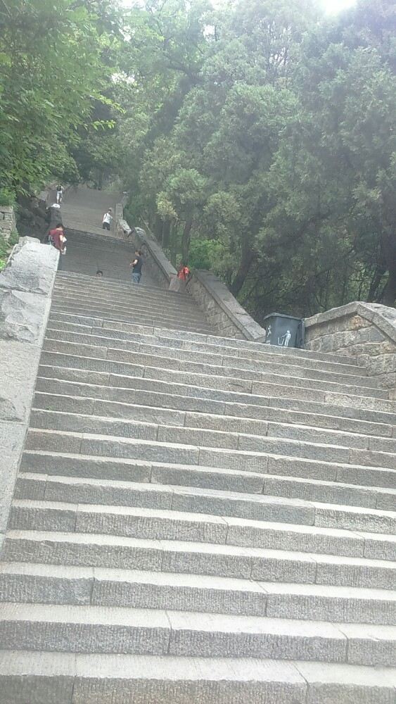 18판