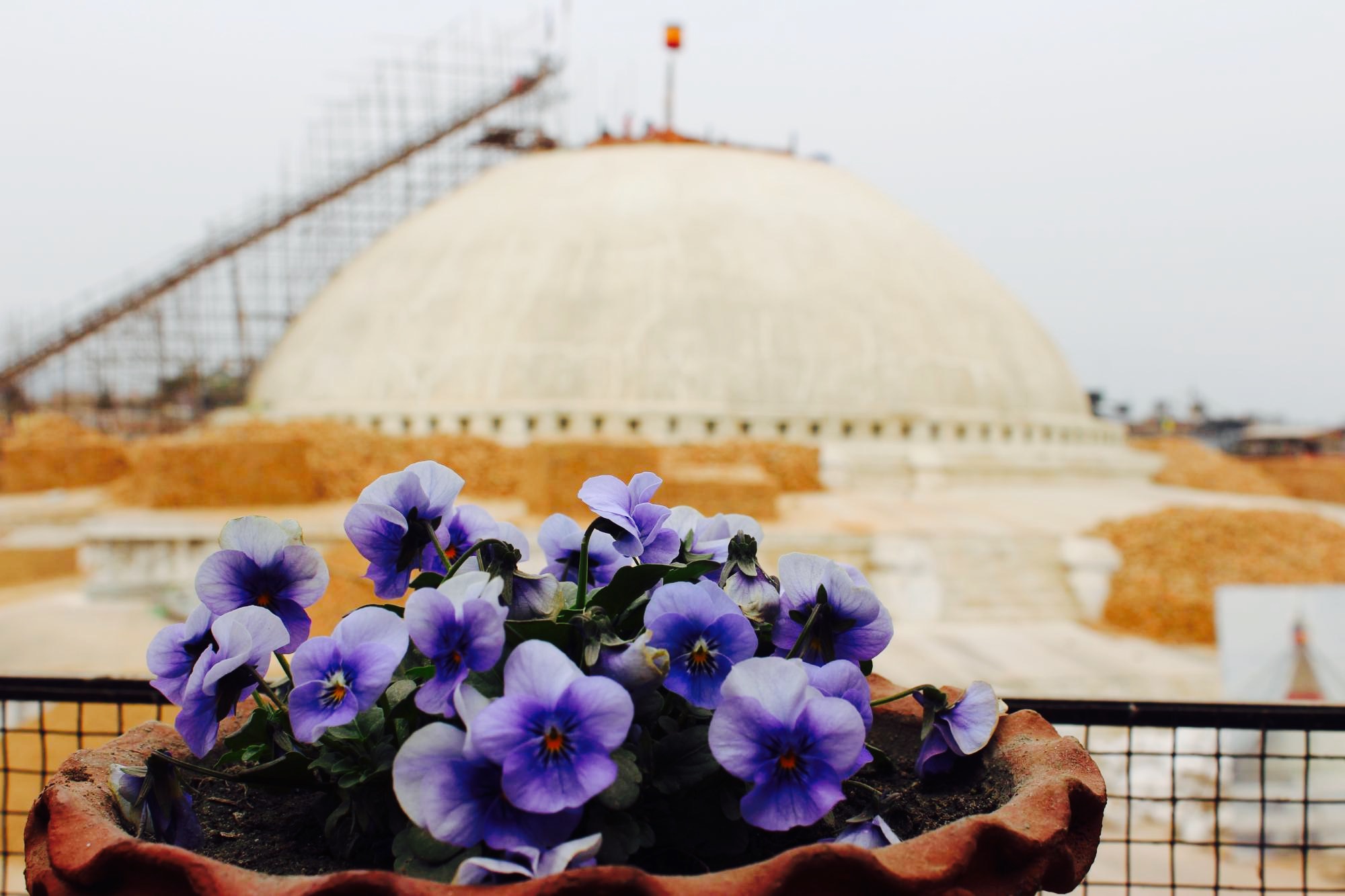 The Golden Eyes Restaurant & Cafe餐厅图片