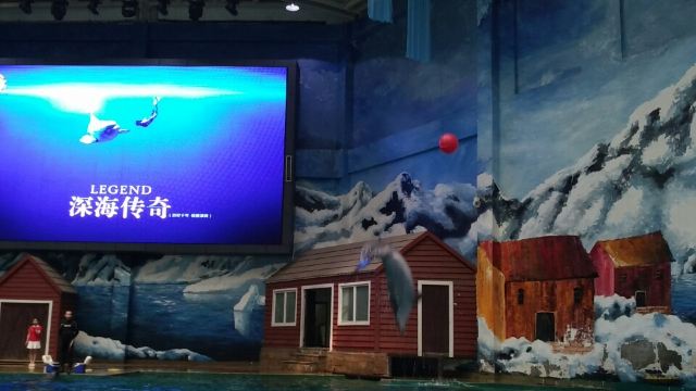 Qujiang Polar Ocean Park