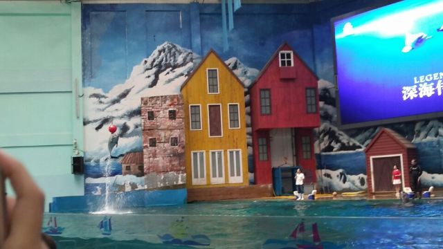 Qujiang Polar Ocean Park
