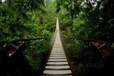 林恩峡谷公园-北温哥华-doris圈圈