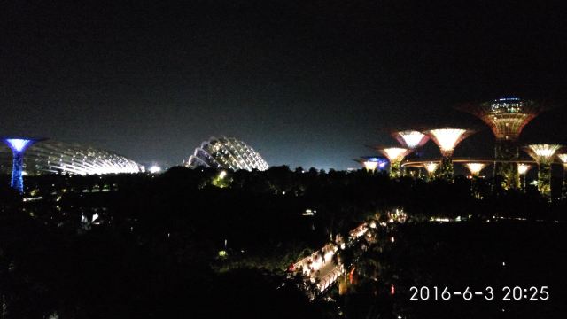 新加坡濱海灣花園