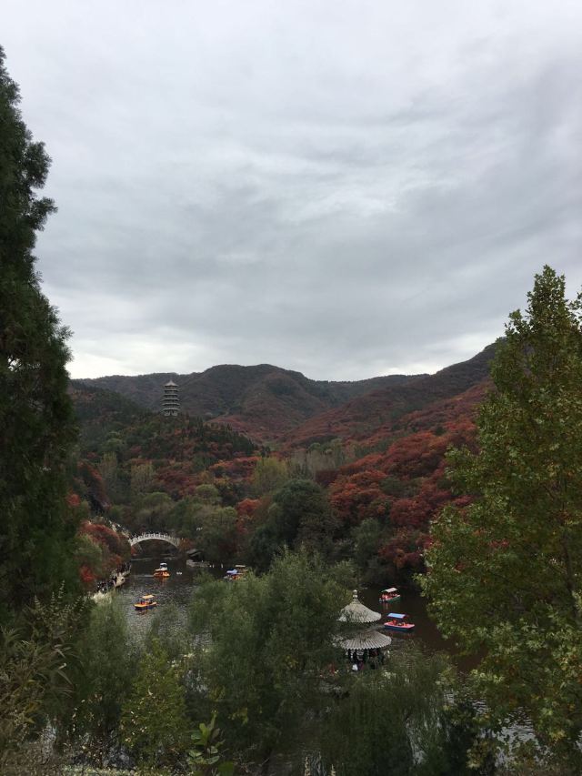 홍엽곡