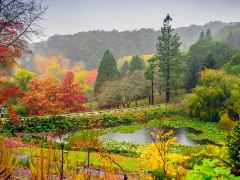 汉道夫+巴罗莎谷+阿德莱德三日游