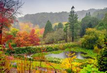 麦拿伦谷旅游图片-汉道夫+巴罗莎谷+阿德莱德三日游
