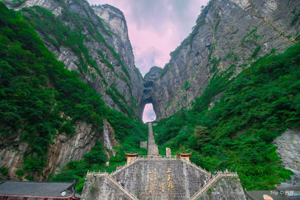 Tianmen Mountain Zhangjiajie National Forest Park Ticket Trip Com
