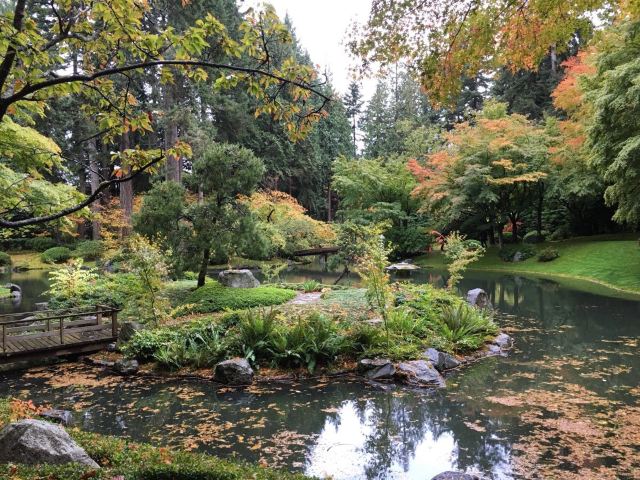 Nitobe Memorial Garden Attractions 牡丹 Greater Vancouver Travel