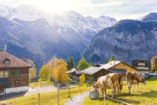 米伦-米伦-doris圈圈