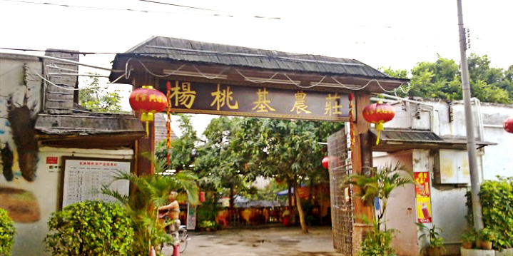 杨桃基农庄老字.号(长洲岛店)