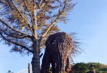 Treebones Resort Wild Coast Restaurant and Sushi Bar美食图片