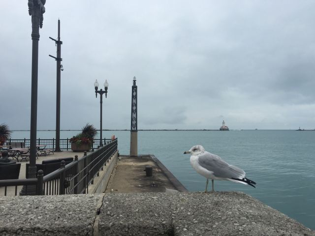 Navy Pier