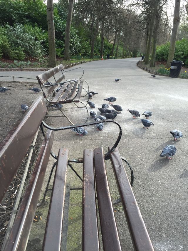 St. Stephen's Green