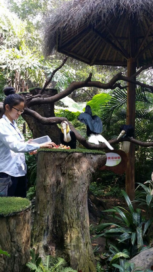 Chimelong Bird Park