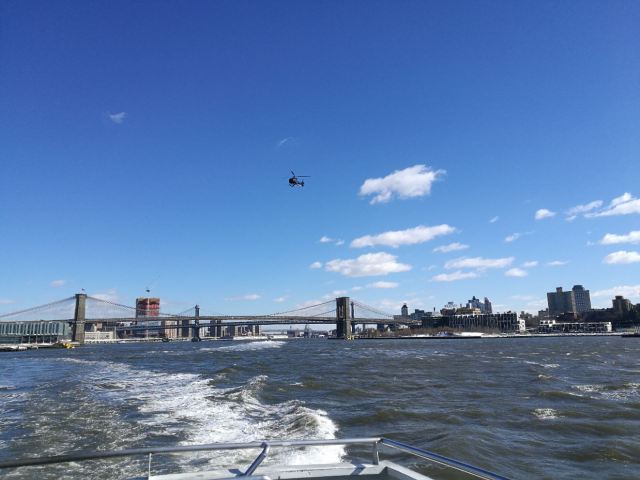 Statue of Liberty