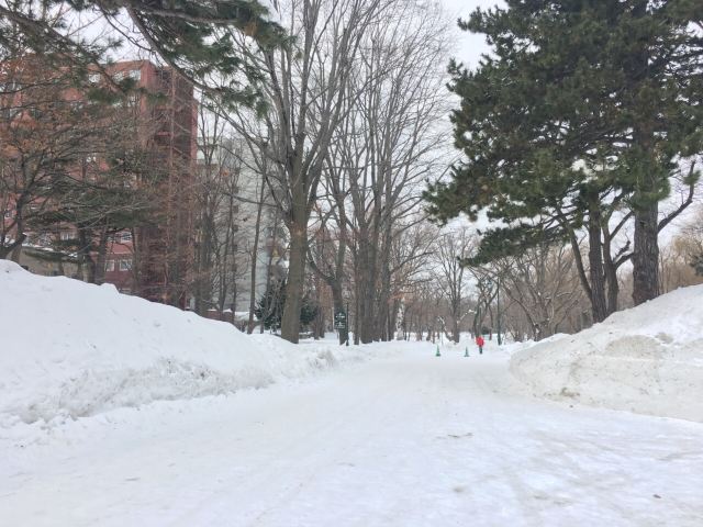 北海道大學