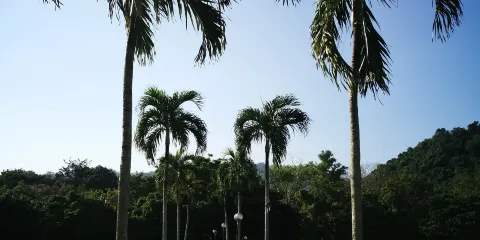 馬來西亞理科大學