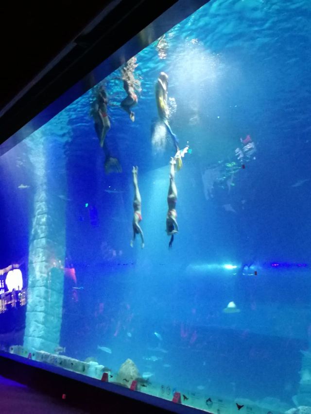 Grandview Aquarium